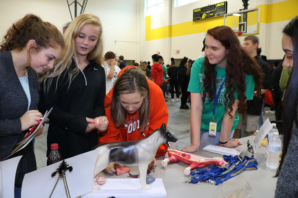 
Highlands Junior School eighth-graders (from left) Alyssa Bernal, Hannah Lee and Ashlie Allen work with a model of a dog, assisted by Leia Vinson (right) and Andrea Garcia (front right), ninth-graders in the Vet Tech program at Stuart Career Tech High School. The students were attending the Third Annual Highlands Junior School College and Career Fair, designed to help eighth-graders make decisions on endorsements.
