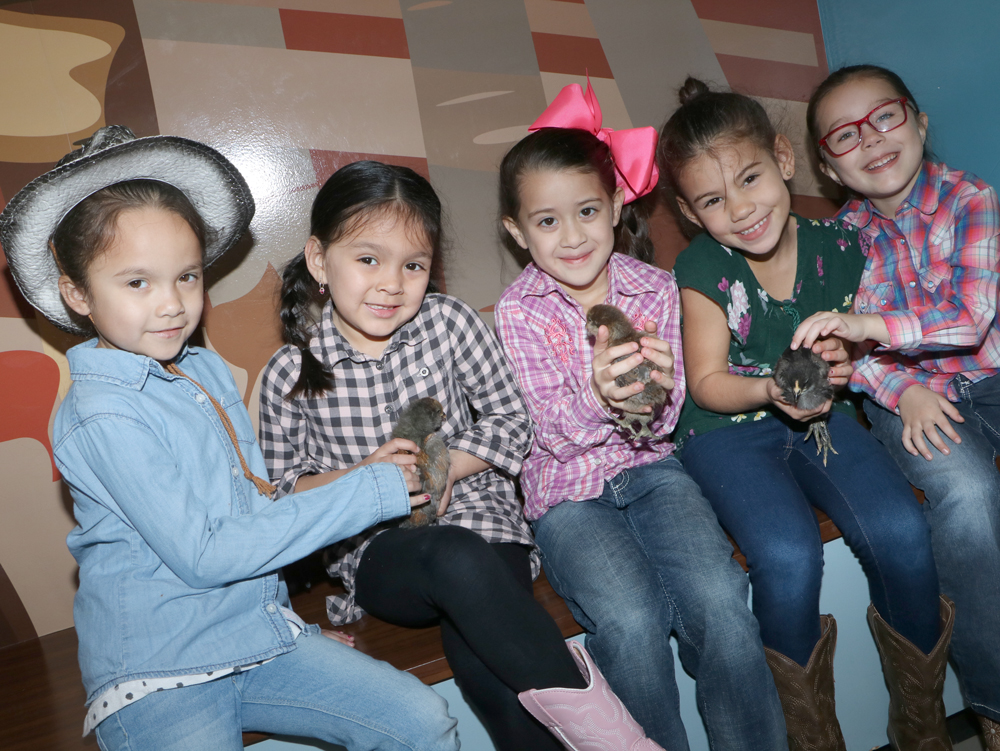 
Alamo Elementary kindergarten students (from left) Allison Gomez, Isabella Garcia, Abriana Lucatero, Aaliyah Edwards and Mariah DeHart in their Go Texan Day attire hold chickens belonging to Coach Tim Bailey.
