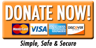 donate now