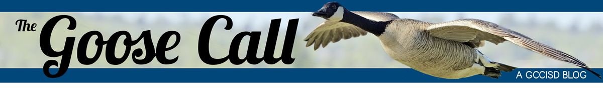 The Goose Call A GCCISD Blog