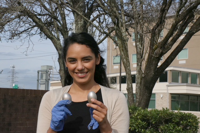 GCCISD Communications Team Member shows off Egg Hunt Eggs