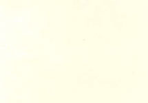 pastel cream